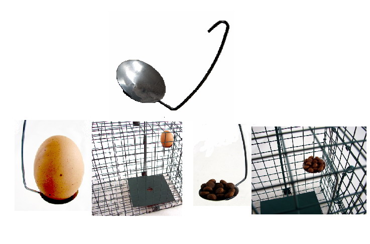 Pasca na kuny, potkany, norky, mačky, tchory, 78cm + otrava grátis