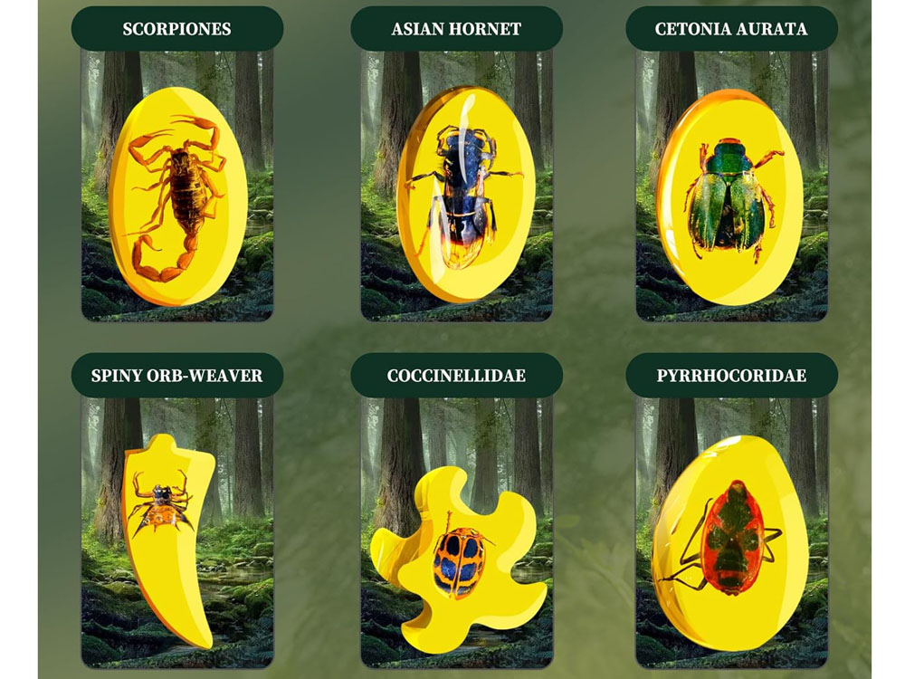 JOKO Archeologická Sada Vykopávky Fosílie Hmyzu v Jantárovom Kameni