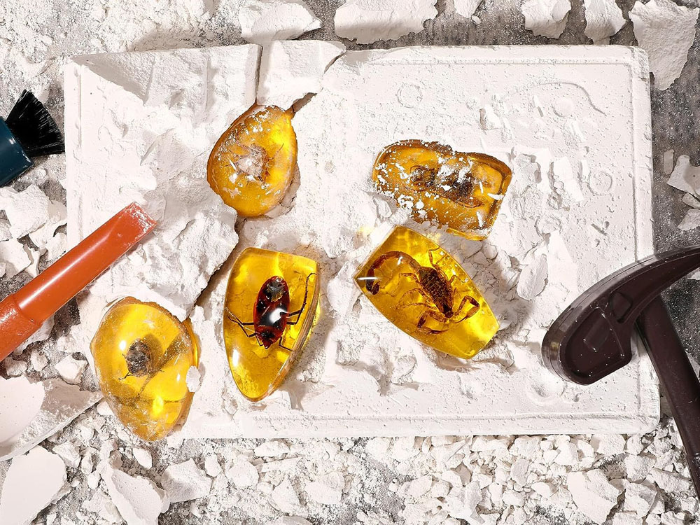 JOKO Archeologická Sada Vykopávky Fosílie Hmyzu v Jantárovom Kameni